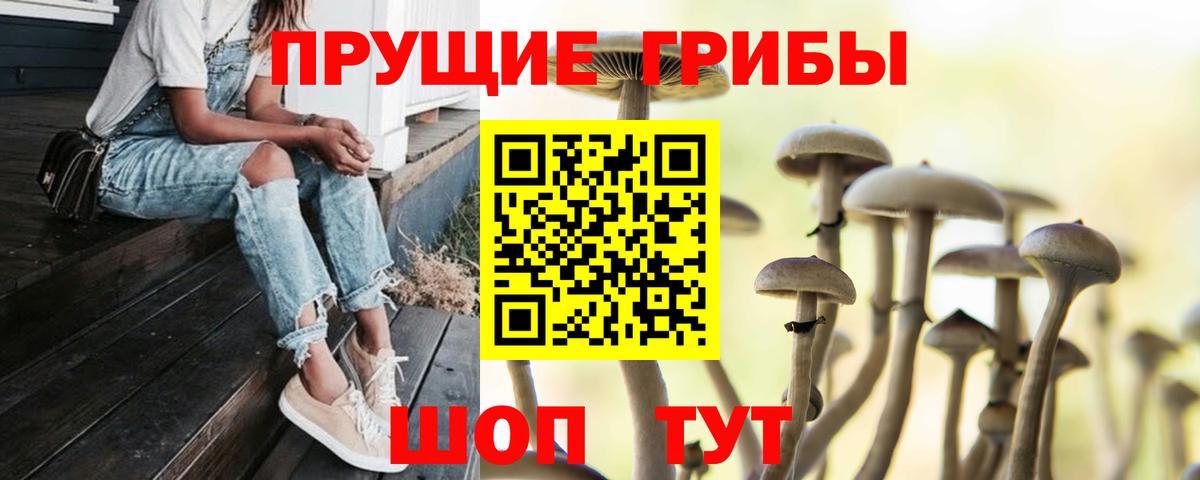 Норильск  Псилоцибиновые грибы Psilocybine cubensis  Вход с VPN  Галлюциногенные грибы мицелий 